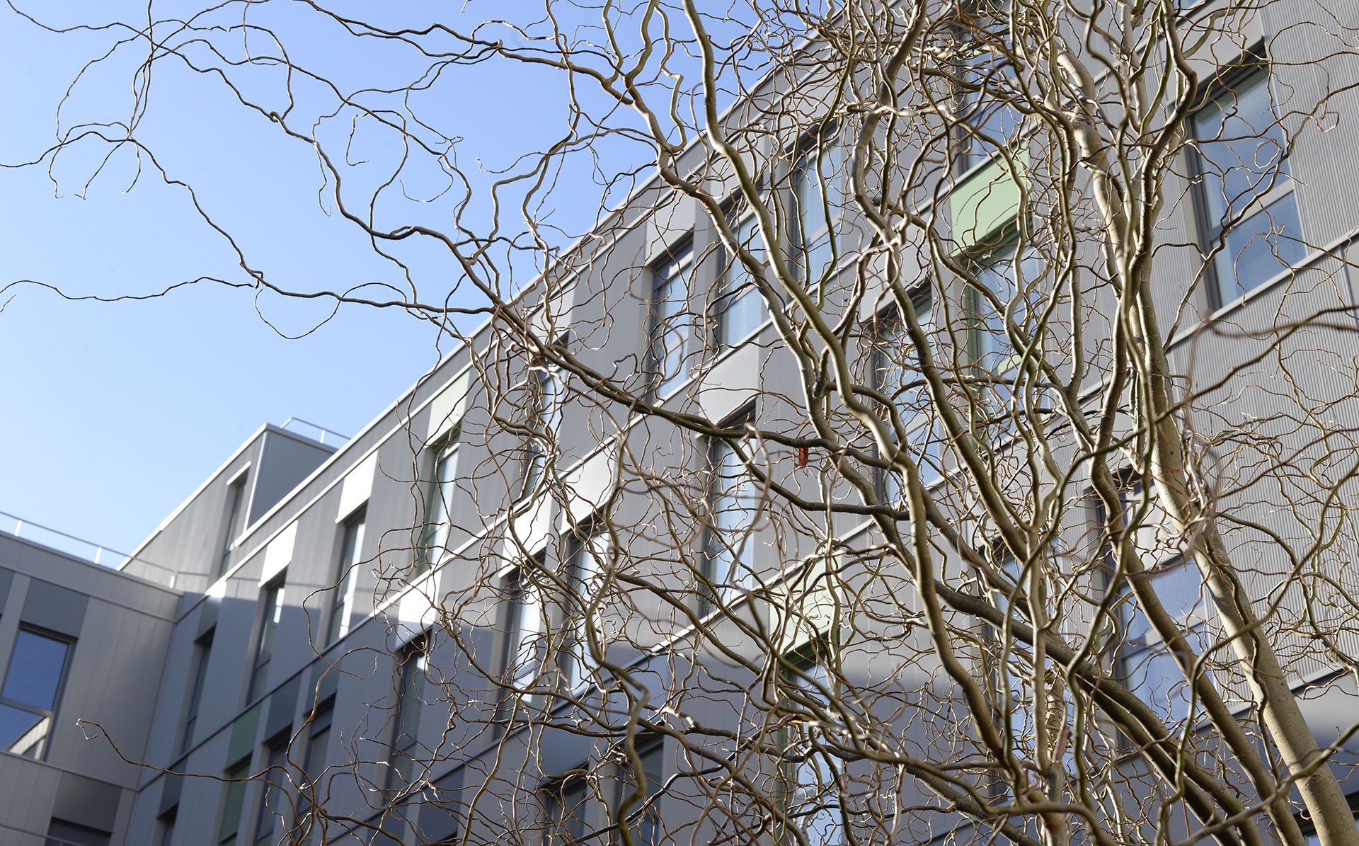 Immeuble Silver Innov'