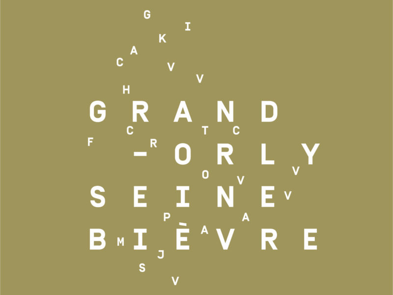 Silver Innov' | Pépinière d'entreprises dédiée à la Silver Économie | Logo Marron Grand Orly Seine Bièvre